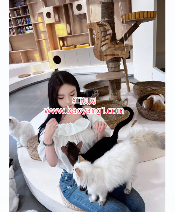 QQ20250329-111746.png